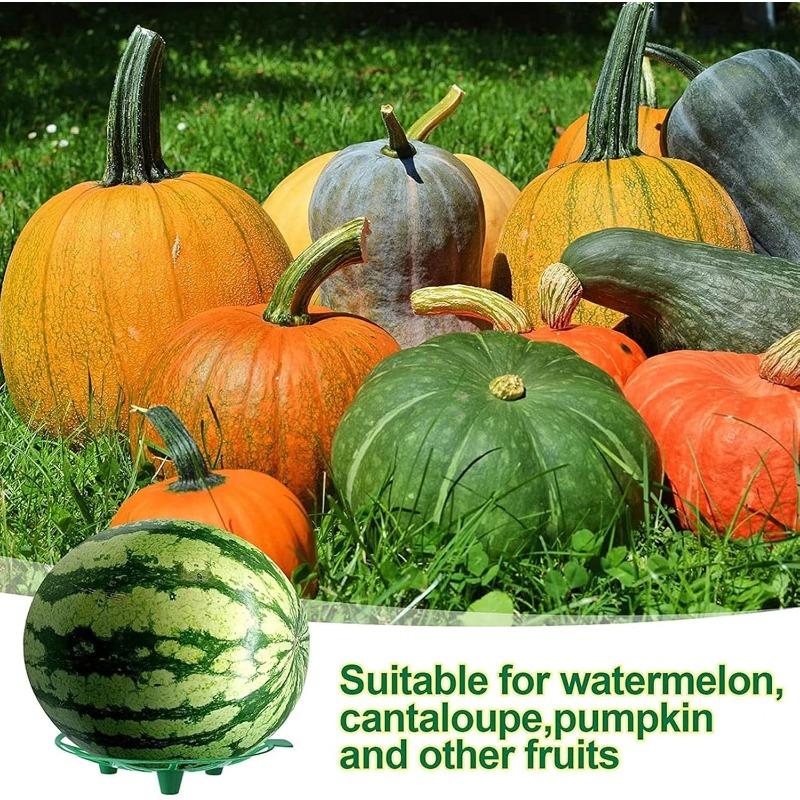 10PCS Melon Cradle Pumpkin Watermelon Stand Plastic Garden Plant Support for Squash Cantaloupe Strawberry Fruit Holder