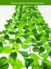 Rattan Morning Glory Green Vine Leaf Decoration - Plastic Faux Flower & Pothos Leaves for Air Conditioner Pipe Cover.