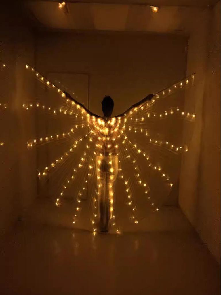 Halloween LED Glowing Butterfly Wings Costume