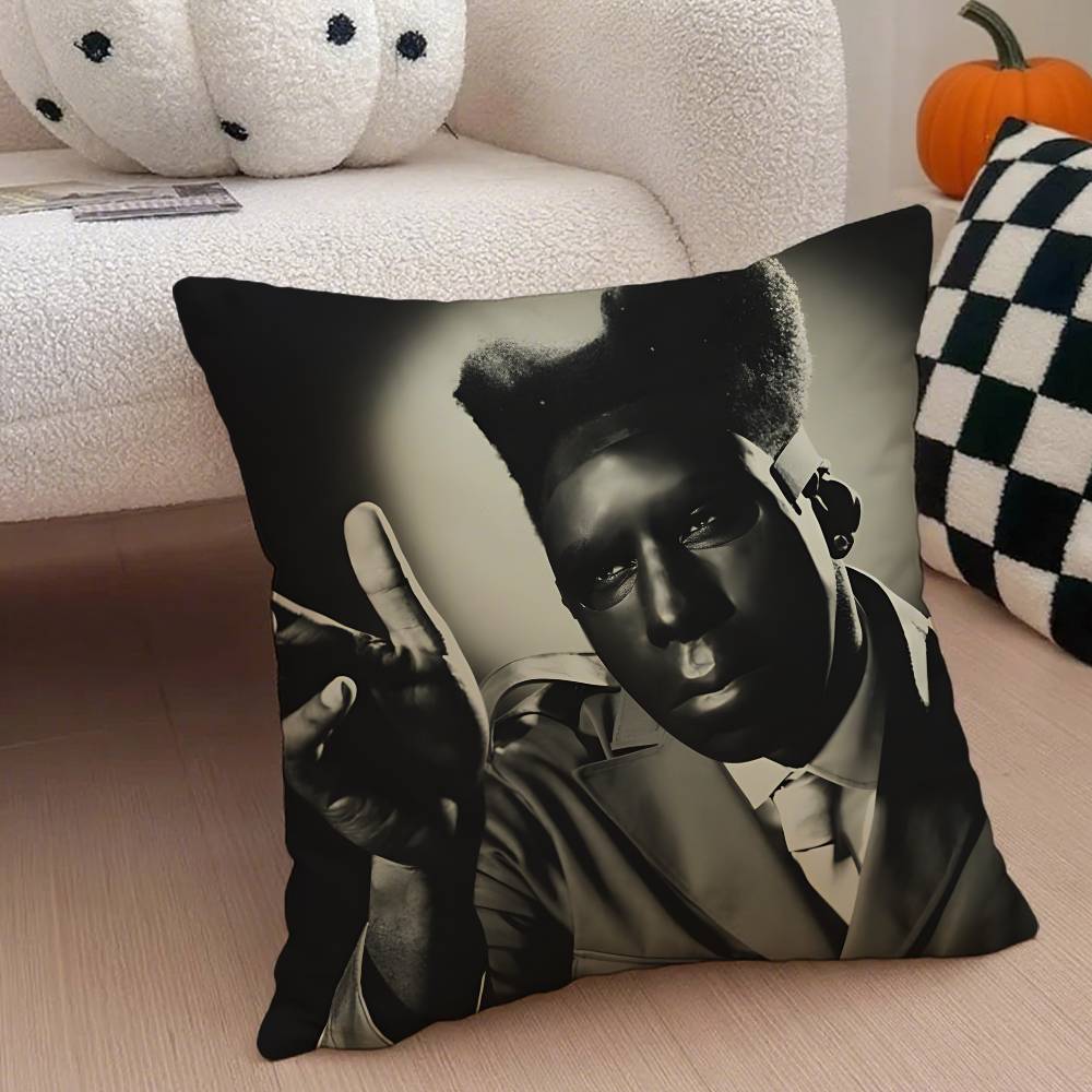 T-Tyler the Creator Rapper Pillow Case Anti-dustmite Pillowcase Invisible zipper silky short plush Sofa cushion cover
