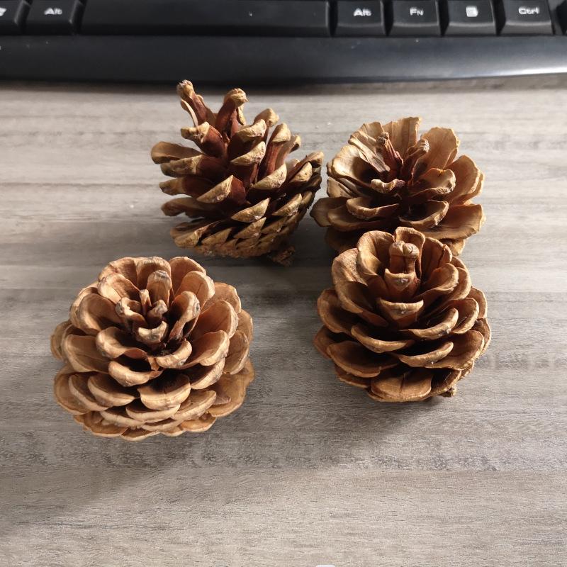 Conuri de Pin pentru Decorațiuni de Crăciun 1-18CM: Figurine creative și accesorii pentru fotografie