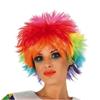 Fiestas Guirca Womens/Ladies Rainbow Wig