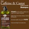 Difeel Koffein & Rizinus Schnelleres Wachstum Shampoo 12 oz. Hergestellt mit Rizinus   l f   r Haarwachstum Sulfatfreies Shampoo