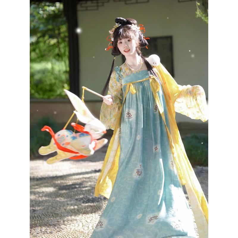 Tang Dynasty Style Hanfu Set Women - Qixiong Skirt Outfit With Printed Design Shawl