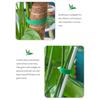 Household Adjustable Plant Ties 2cm Width Auto Gripping Straps Suitable For Tree Branch & Cable Management Staking Vine