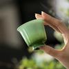 Service à thé en céramique peint à la main avec glaçure dégradée vert jade Gaiwan Gongfu Tasses pour la maison le bureau Collection Printemps Éveillé Cadeau
