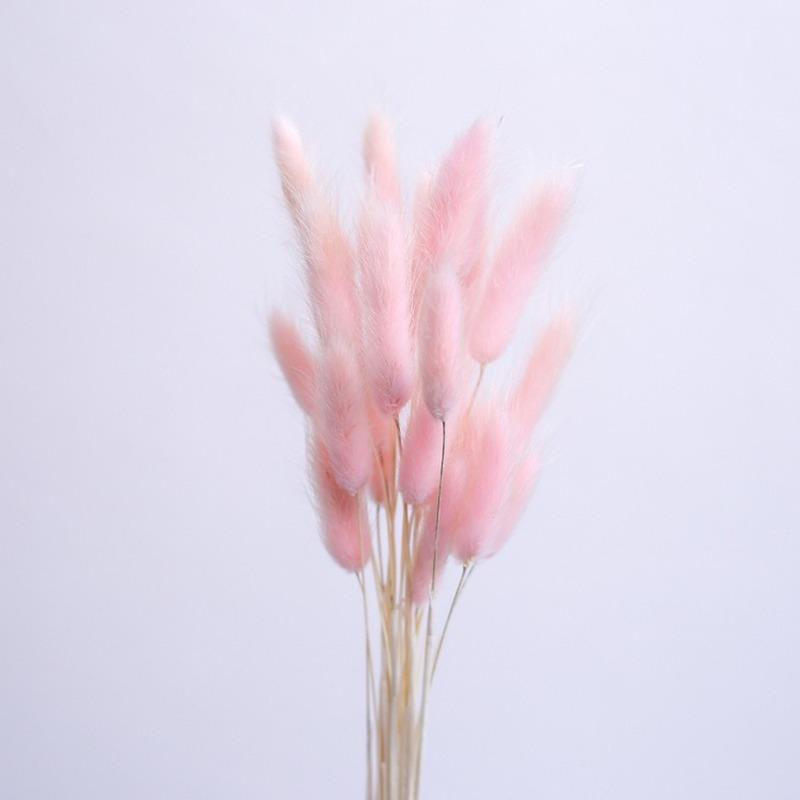 

Кроличий хвост, трава, настоящие цветы, натуральная пампасная трава, букет из сухих цветов, свадебные украшения, пасхальный декор, домашний декор