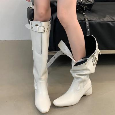 Mode Eilyken Nouvelles Chaussures Compensées à Talons Hauts Bottes Hautes pour Femmes Boucle de Ceinture de Designer Bottines Longues Chaussures d'Hiver de Rue Zapatos De Mujer