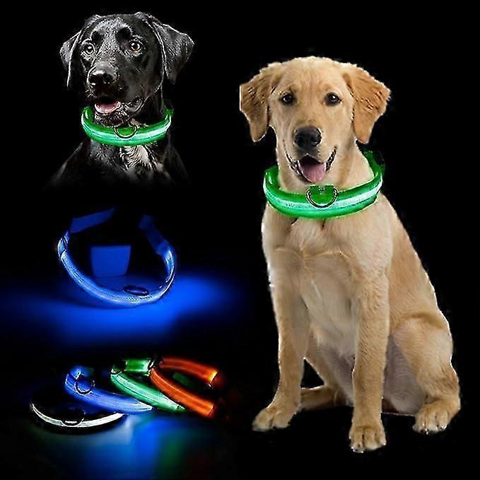 Flashing Nylon Pet L E D Supplies Products Dog Light Pet Dog Light Up Dog Leash Collar Adjustable Small Pet Luminous Safety Collar