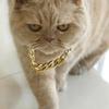 Shimmering Gold Chain Pet Collar Fashion Jewelry Accessory For Puppies Kittens Pet Photography Theme Event Dressingup