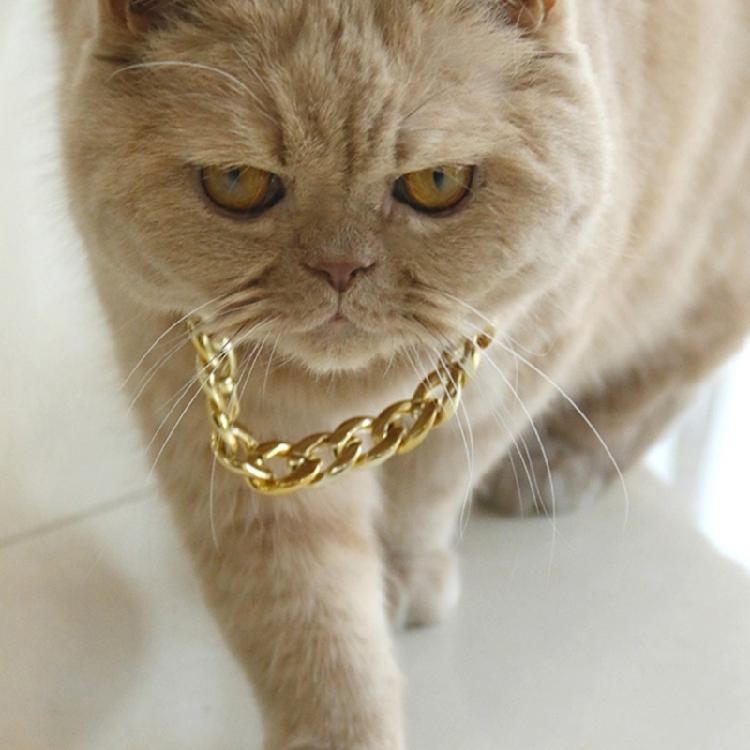Shimmering Gold Chain Pet Collar Fashion Jewelry Accessory For Puppies Kittens Pet Photography Theme Event Dressingup