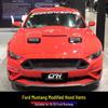 18-23 Ford Mustang Custom Dry Carbon Hood Vents Replacement