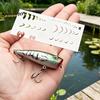 Fish Lure Craft Supplies 6Pcs/Set Fishing Bait Painting Template, Reusable Plastic Stencils, Cutout Template Translucent PVC Washable Pattern