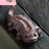 Chinese Yixing Sculpture Purple Clay Tea Pet Creative Fish Statue Ornaments Handmade Tea Figurine Crafts Tea Set Decoration Art