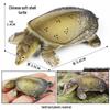 Cross-Border Children's Cognitive Amphibian & Reptile Tortoise Model Fish Tank Ornament Toy