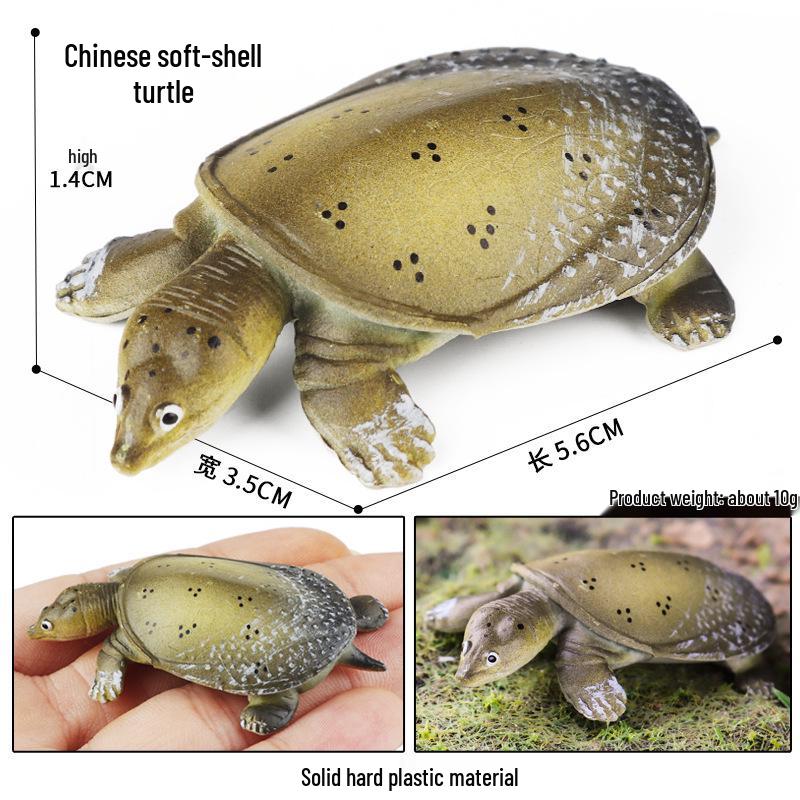 Cross-Border Children's Cognitive Amphibian & Reptile Tortoise Model Fish Tank Ornament Toy