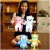 Adorable Teddy Bear Plush Toy With Led Colorful Lights Small Size Long Plush Flashing Function