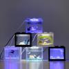 Fische & Meerestiere – Aquarienbeleuchtung
