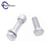 4.8 Grade Hot-Dip Galvanized Hex Bolts for Photovoltaic & Wind Power Systems