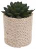 Dekorativ konstgjord växt i kruka 8x14 cm