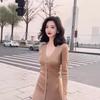 Temperament Skinny Knitted Cardigan Long Dress Early Autumn Muse Fan Premium V-Neck Knitted Dress Women's Autumn and Winter