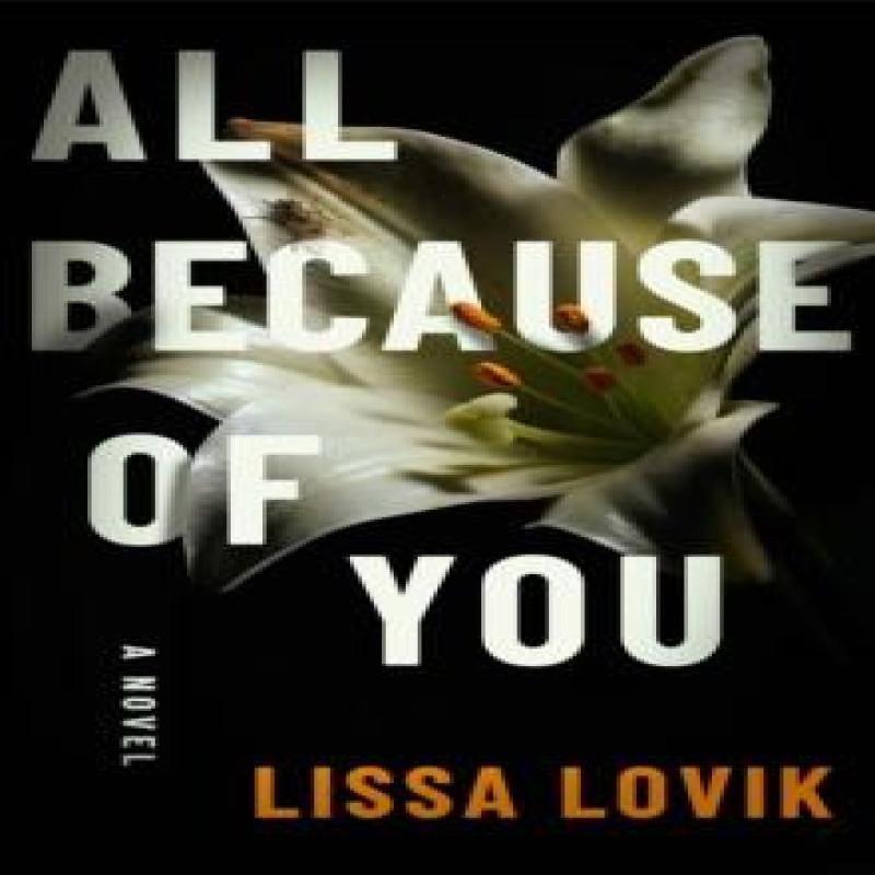 All Because of You by Lissa Lovik Paperback Book 9781662530067