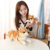 Cute Simulated Shiba Inu Doll Half Kachai Doll Baby Cognition Plush Toy Dog Sleeping Small Throw Pillow Gift