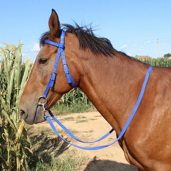Adjustable Horse Bridle & Harness Set with Water Bridle, Bit & Handmade Reins - Equestrian Gear