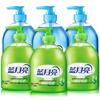 Blue Moon Hand Wash Bundle - Aloe & Wild Chrysanthemum (6x500g)