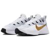 Nike LeBron TR 1 Wolf Grey/White/Bronze/Metallic Gold Men Sneakers FJ6151-006