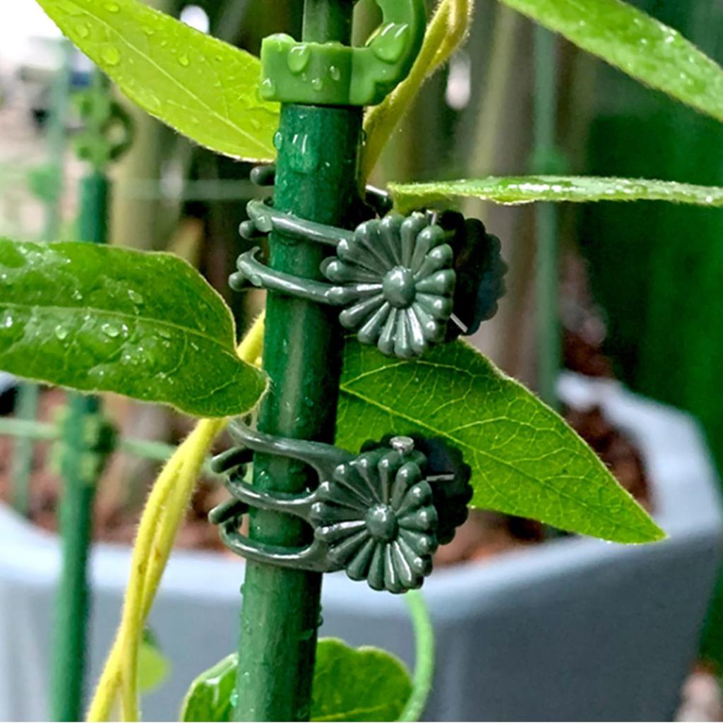 Orchid Support Clips Plastic Garden Plant Growing Fixed Clip Flower Stems Tied Bundle Branch Tomato Grape Vine Climbing Tools
