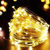 Christmas Fairy String Light Led Fairy Lights EU/USB DC Power Remote Control Halloween Garland Fairy Light for Wedding Party Christmas Decoratio