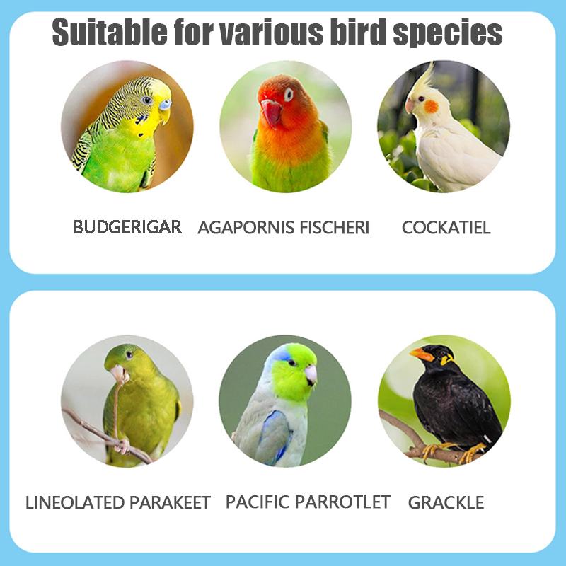 Interactive Wooden Scale for Pets, 1 Piece, Parrot Toy, Hamster Cage, Fun Grinding Stick, Climbing Toy, Bird Accessories