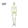 Glow Skeleton for Window Halloween Decor, 90cm-1.5m Fluorescent Fake Skull Prop Hanging Ghost Decorations Haunted House, Articulated Plastic Bar Party