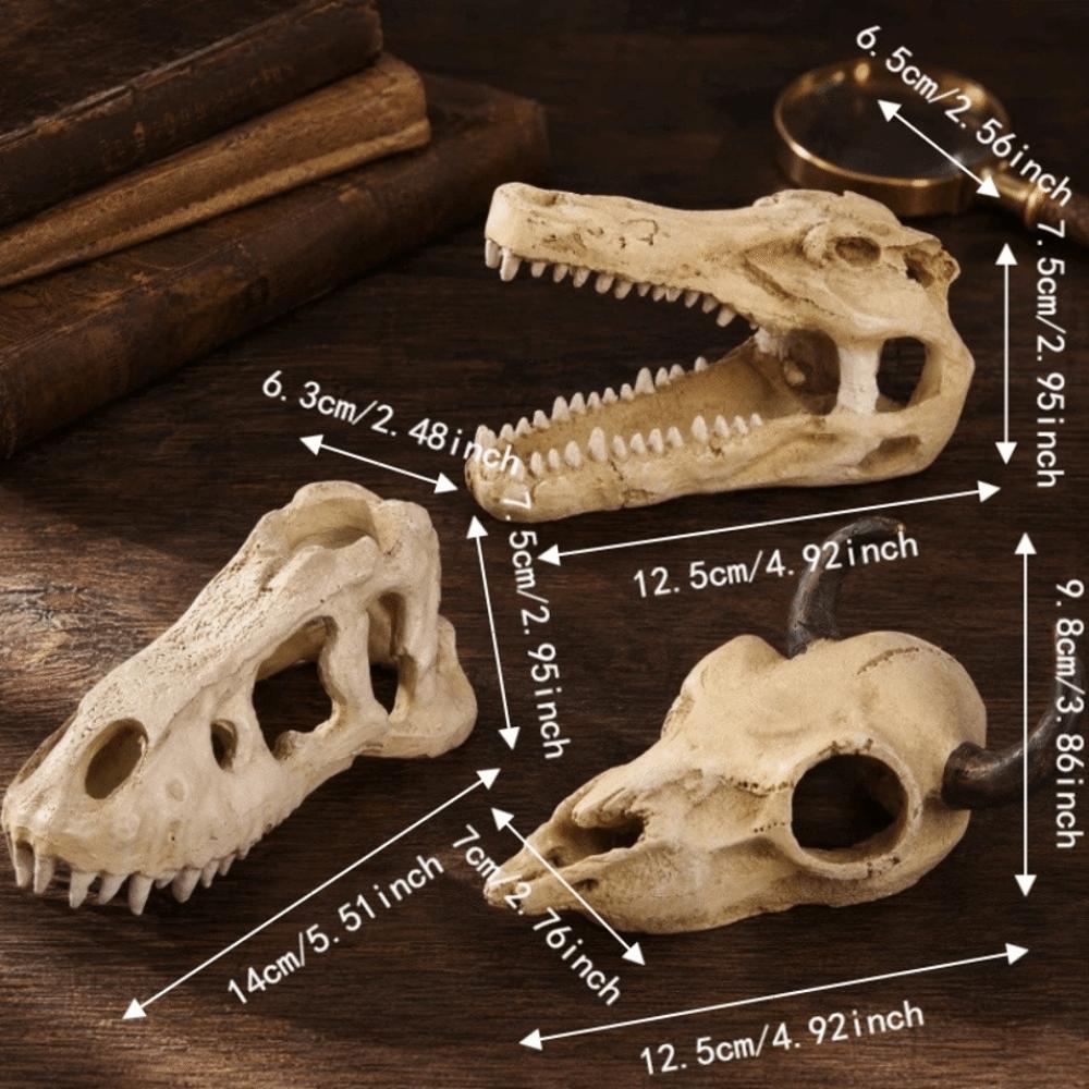 Kreative 3D-Schädel-Reptilienhöhle Ausgeschnittenes Reptilien-Kletterunterschlupf Aquarien-Enthusiasten