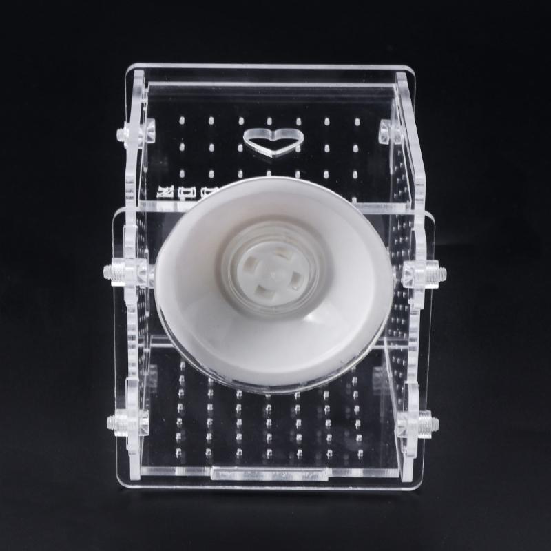 Breeding for Tank for Aquarium Fish Fry Isolation Box Hatchery Boxes Clear Acryl