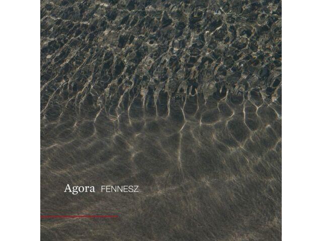 

[CD] Agora с бонус-треком Nomal Edition Fennesz PCD-25273 Dance & Electronica