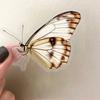 50 Transparent and Elegant Butterfly Sticker Packs, Waterproof Transparent PET Manual Material Decorative Guitar Notebook