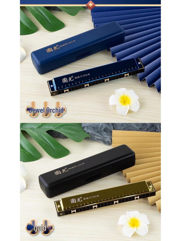 Harmonica trémolo Guoguang 24 trous en do pour débutants et étudiants