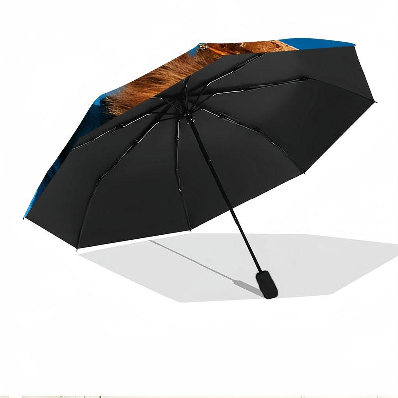Paddington Bear Print Automatic Open Close Umbrella, Portable Foldable Umbrella, for Outdoor Commute Camping Trip, Ideal Birthday Gift