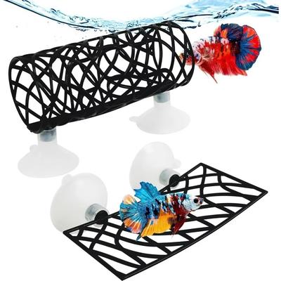 Fische & Meerestiere – Aquarien-Einrichtung