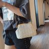 Mouth Gold Small Bag Female Wild Messenger Bag Chain Shoulder Fashion Clip Mouth Straw Bag