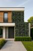 Green Wall - Plant Panel - Violet Flowers - Uv 50 X 50