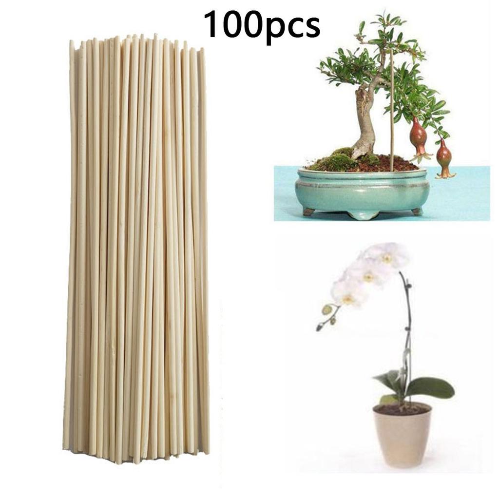 100 Plant Support Rods Gardening Tools Plant Support Rods 3mm * 20cm