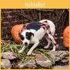 Halloween Pet Spider Costume With Fabric Material For Dog Dress Up And Party Decoration