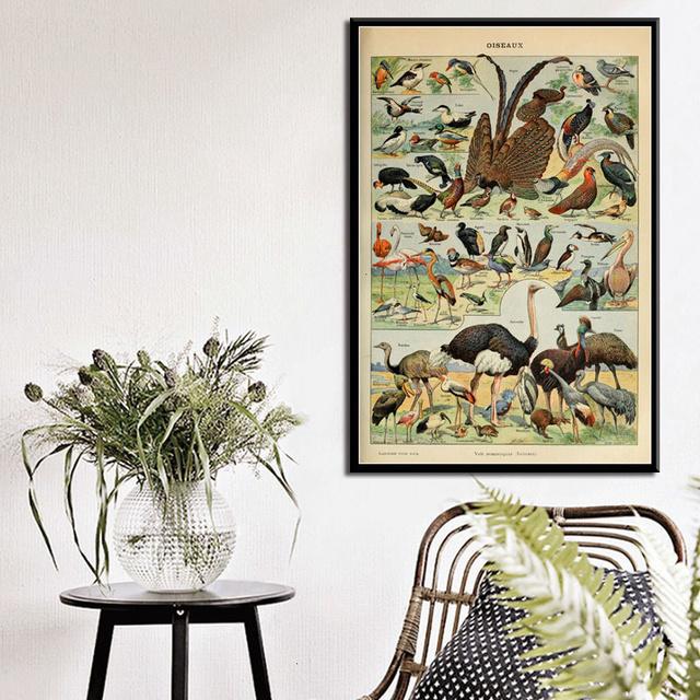 Ocean Sea Shell Fish Animal Canvas Painting Posters And Prints Wall Art Picture Vintage Life Chart Biology Decoration Home Decor