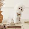 MAISON DE MIU Heart Pendant Collar - Brown