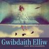 Gwibdaith Elliw by Ian Richards Paperback Book 9781913996727