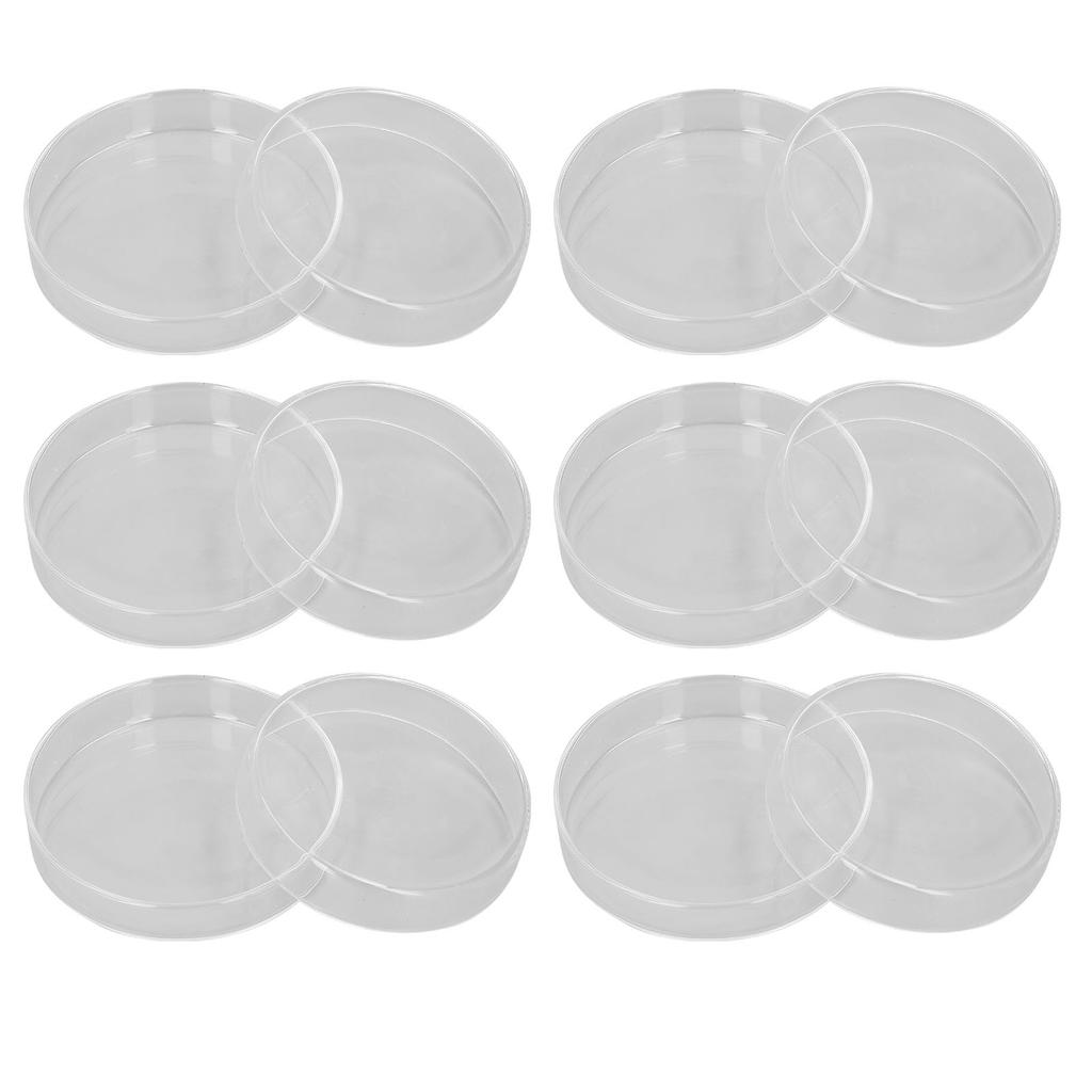 10 STÜCK Labor Petrischalen Glas Kulturschalen mit Deckeln für Bioresearch-Experiment