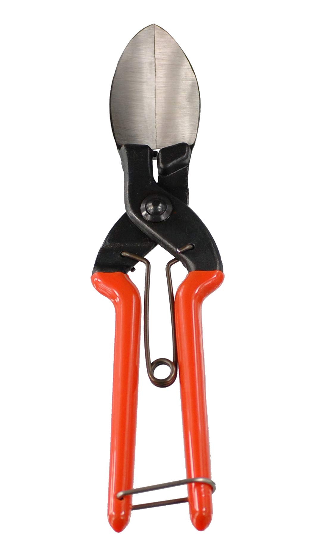 

pumpkin harvesting shears cut through tough stems with Also useful for cutting garlic and onion SUWADA Kabochan ease! roots. оранжевый